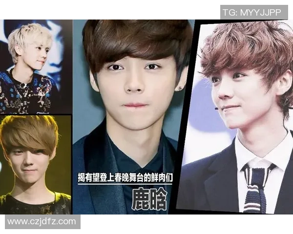 鹿晗足球明星赛门票价格揭秘及购票攻略详解